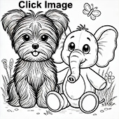 Toy